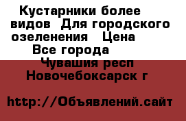 Кустарники более 100 видов. Для городского озеленения › Цена ­ 70 - Все города  »    . Чувашия респ.,Новочебоксарск г.